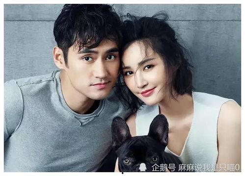 娱乐圈吃瓜小料是真的吗,真假难辨的八卦真相