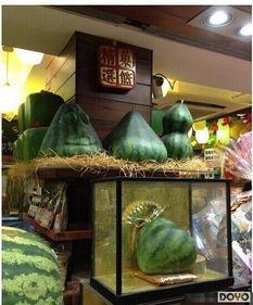 娱乐爆笑室吃瓜,吃瓜群众狂欢盛宴