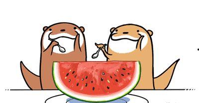 吃瓜大会串词简短,吃瓜大会精彩瞬间