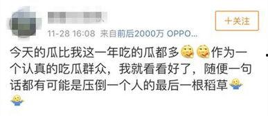 吃瓜娱乐全网收集,吃瓜娱乐，揭秘娱乐圈幕后故事